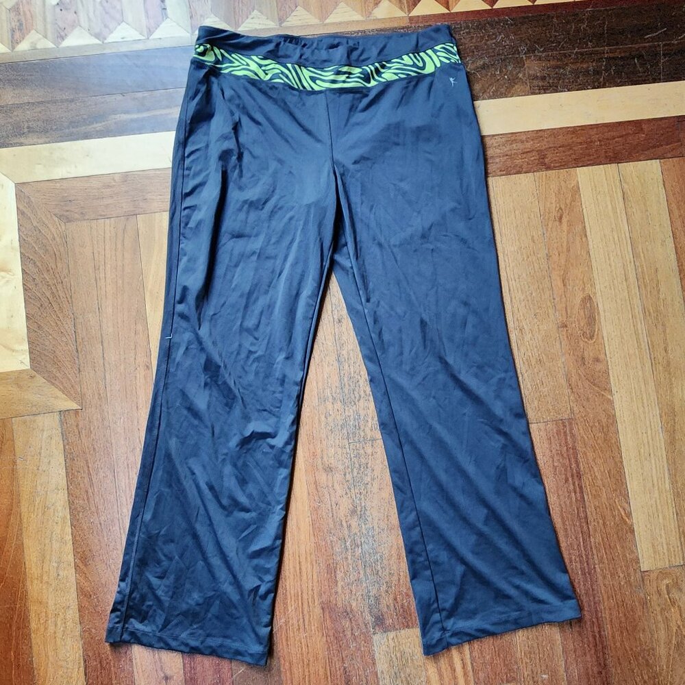 Danskin Gray/Green Athleisure Pants Size 2X